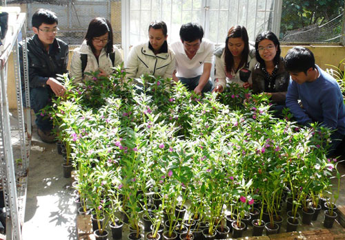 Nghiên[-]cứu[-]giống[-]hoa[-]về[-]từ[-]vũ[-]trụ[-]4